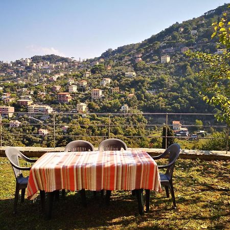 Villa Olivari - Apt Il Melograno كامولّي المظهر الخارجي الصورة