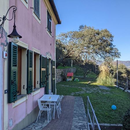 Villa Olivari - Apt Il Melograno كامولّي المظهر الخارجي الصورة
