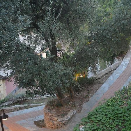 Villa Olivari - Apt Il Melograno كامولّي المظهر الخارجي الصورة