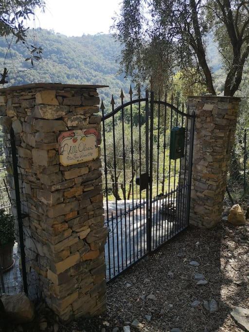 Villa Olivari - Apt Il Melograno كامولّي المظهر الخارجي الصورة