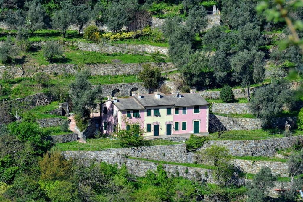 Villa Olivari - Apt Il Melograno كامولّي المظهر الخارجي الصورة