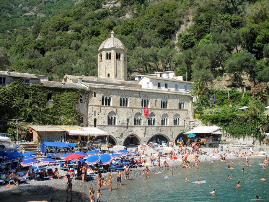 Villa Olivari - Apt Il Melograno كامولّي المظهر الخارجي الصورة