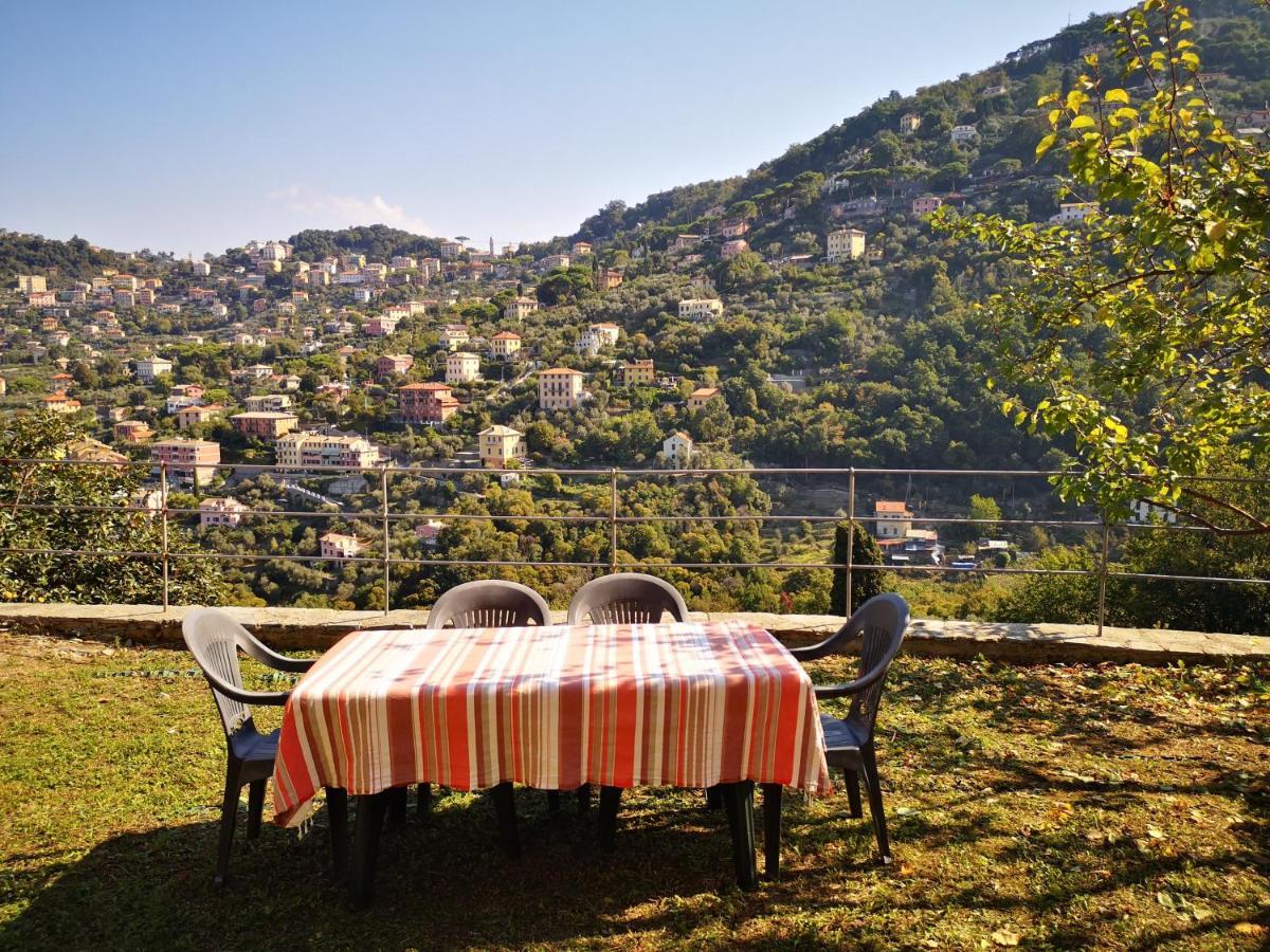 Villa Olivari - Apt Il Melograno كامولّي المظهر الخارجي الصورة