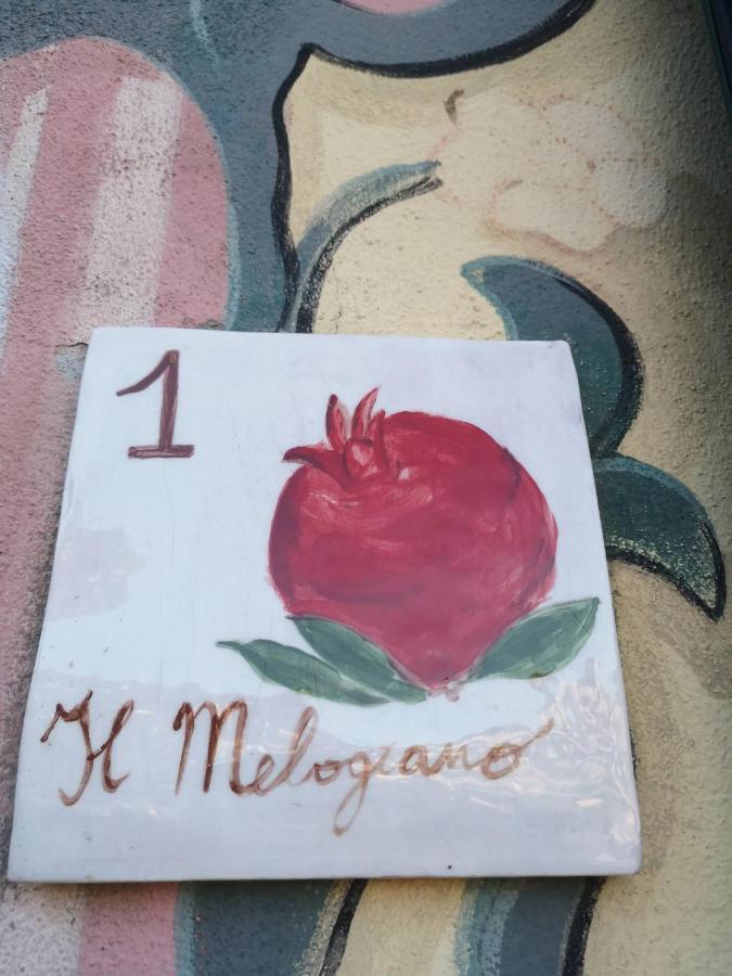Villa Olivari - Apt Il Melograno كامولّي المظهر الخارجي الصورة