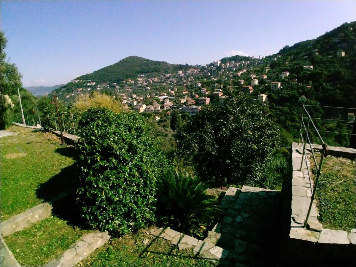 Villa Olivari - Apt Il Melograno كامولّي المظهر الخارجي الصورة