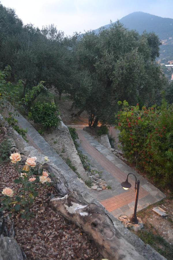 Villa Olivari - Apt Il Melograno كامولّي المظهر الخارجي الصورة